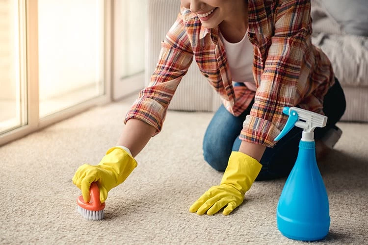 BiOHY Teppichshampoo (9x1l Flasche) | Teppichreiniger Ideal Zur Entfernung Von Hartnäckigen Flecken | SPEZIELL FÜR WASCHSAUGER ENTWICKELT 9 BiOHY Teppichshampoo (9x1l Flasche) | Teppichreiniger Ideal Zur Entfernung Von Hartnäckigen Flecken | SPEZIELL FÜR WASCHSAUGER ENTWICKELT – Bild 7