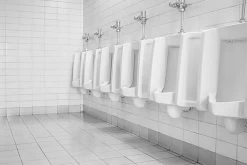 BiOHY WC-Reiniger (9x1l Flasche) | EXTRA STARK | Profi Bio Konzentrat | Dickflüssiges Reinigungs-Gel | Ideal Gegen Urinstein -Reinigungsmittel Laden 83b44154 553f 4f51 8476 5a64db2189fc