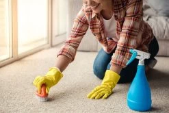 BiOHY Teppichshampoo (10l Kanister) | Teppichreiniger Ideal Zur Entfernung Von Hartnäckigen Flecken | SPEZIELL FÜR WASCHSAUGER ENTWICKELT -Reinigungsmittel Laden cec906c6 d4d4 4a6d 8230 a9b9bf5ad6ec