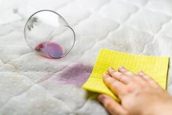 BiOHY Spezial Polsterreiniger (6x1l Flasche) | Ideal Für Autositze, Sofas, Matratzen Etc. | Ebenfalls Für Waschsauger Geeignet -Reinigungsmittel Laden e9ff6c7f 74e3 4283 a9be 385de23b061d